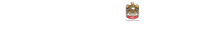 internal audit services in dubai